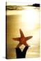 Seastar on the Shore of a Beach at Sunset-nito-Stretched Canvas