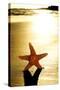 Seastar on the Shore of a Beach at Sunset-nito-Stretched Canvas
