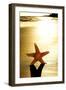 Seastar on the Shore of a Beach at Sunset-nito-Framed Photographic Print