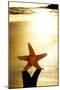 Seastar on the Shore of a Beach at Sunset-nito-Mounted Photographic Print