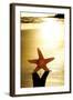 Seastar on the Shore of a Beach at Sunset-nito-Framed Photographic Print