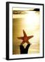 Seastar on the Shore of a Beach at Sunset-nito-Framed Photographic Print