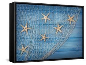 Seastars on the Fishing Net on a Blue Background-egal-Framed Stretched Canvas