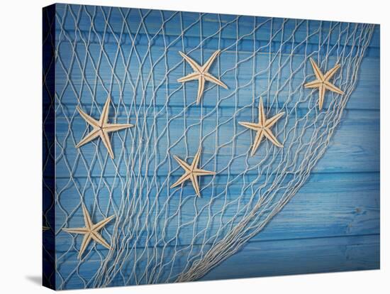 Seastars on the Fishing Net on a Blue Background-egal-Stretched Canvas