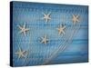 Seastars on the Fishing Net on a Blue Background-egal-Stretched Canvas