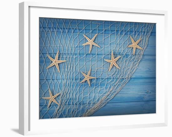 Seastars on the Fishing Net on a Blue Background-egal-Framed Photographic Print