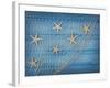 Seastars on the Fishing Net on a Blue Background-egal-Framed Photographic Print