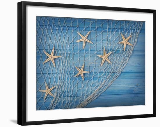 Seastars on the Fishing Net on a Blue Background-egal-Framed Photographic Print