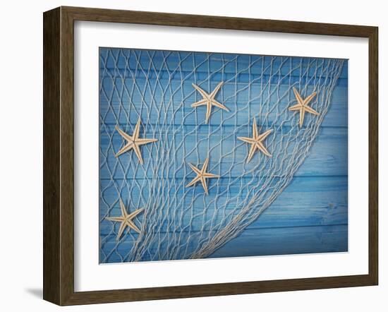 Seastars on the Fishing Net on a Blue Background-egal-Framed Photographic Print