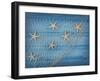 Seastars on the Fishing Net on a Blue Background-egal-Framed Photographic Print