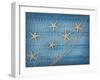 Seastars on the Fishing Net on a Blue Background-egal-Framed Photographic Print