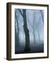 Seaswarm-Craig Roberts-Framed Photographic Print