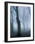 Seaswarm-Craig Roberts-Framed Photographic Print