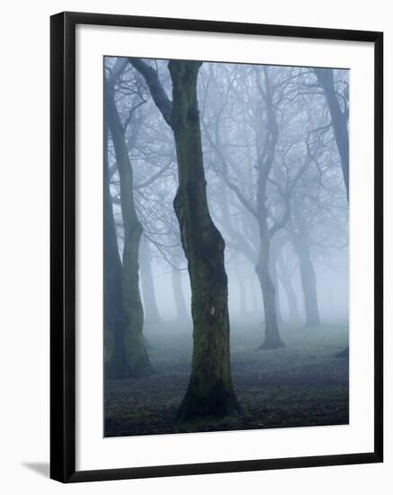 Seaswarm-Craig Roberts-Framed Photographic Print