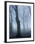 Seaswarm-Craig Roberts-Framed Photographic Print