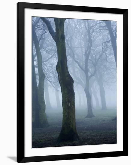 Seaswarm-Craig Roberts-Framed Photographic Print