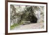 Seat in Front of A Cave-Risto0-Framed Photographic Print