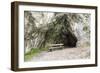 Seat in Front of A Cave-Risto0-Framed Photographic Print