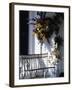 Seat on Typical Front Porch, Woodstock, Vermont, New England, USA-Amanda Hall-Framed Photographic Print