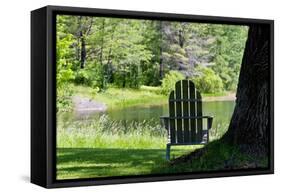 Seat Overlooking the Lake Photo Print Poster-null-Framed Stretched Canvas