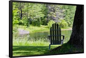 Seat Overlooking the Lake Photo Print Poster-null-Framed Poster