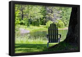 Seat Overlooking the Lake Photo Print Poster-null-Framed Poster