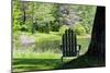 Seat Overlooking the Lake Photo Print Poster-null-Mounted Poster