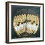 Seated Angels with Orbs in their Hands-Guariento-Framed Giclee Print