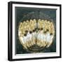 Seated Angels with Orbs in their Hands-Guariento-Framed Giclee Print