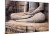 Seated Buddha in Meditation-Matthew Williams-Ellis-Mounted Photographic Print