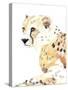 Seated Cheetah-Lanie Loreth-Stretched Canvas