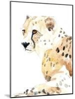 Seated Cheetah-Lanie Loreth-Mounted Art Print