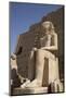 Seated Colossus in Front of 8th Pylon, Karnak Temple, Luxor, Thebes, Egypt, North Africa, Africa-Richard Maschmeyer-Mounted Photographic Print