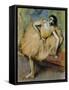 Seated Dancer, C.1894-Edgar Degas-Framed Stretched Canvas