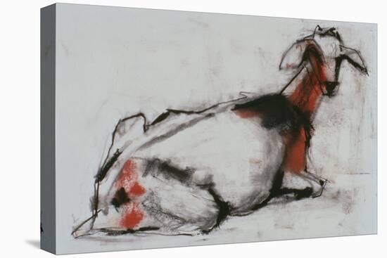Seated Goat, 1998 (Conte and Charcoal on Paper)-Mark Adlington-Stretched Canvas