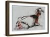 Seated Goat, 1998 (Conte and Charcoal on Paper)-Mark Adlington-Framed Giclee Print