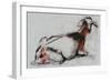 Seated Goat, 1998 (Conte and Charcoal on Paper)-Mark Adlington-Framed Giclee Print