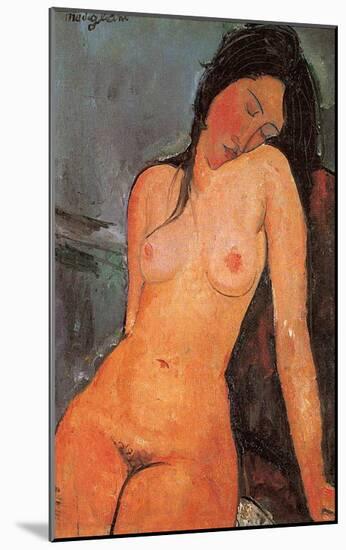 Seated Nude, c.1917-Amedeo Modigliani-Mounted Art Print