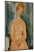 Seated Nude, c.1918-Amedeo Modigliani-Mounted Art Print