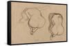 Seated Nude, C1901-Gustav Klimt-Framed Stretched Canvas