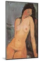 Seated Nude, ca. 1917-Amedeo Modigliani-Mounted Art Print