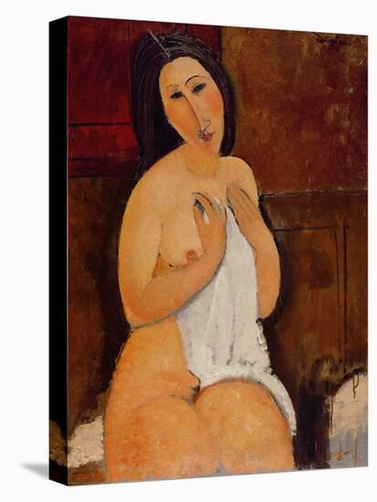 Seated Nude with a Shirt, 1917 (Oil on Canvas)-Amedeo Modigliani-Stretched Canvas