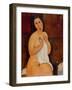 Seated Nude with a Shirt, 1917 (Oil on Canvas)-Amedeo Modigliani-Framed Giclee Print