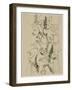 Seated Nude-null-Framed Giclee Print