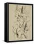 Seated Nude-null-Framed Stretched Canvas