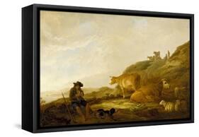 Seated Shepherd with Cows and Sheep in a Meadow, 1644 (Oil on Oak Panel)-Aelbert Cuyp-Framed Stretched Canvas