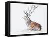 Seated Stag, 2006-Mark Adlington-Framed Stretched Canvas