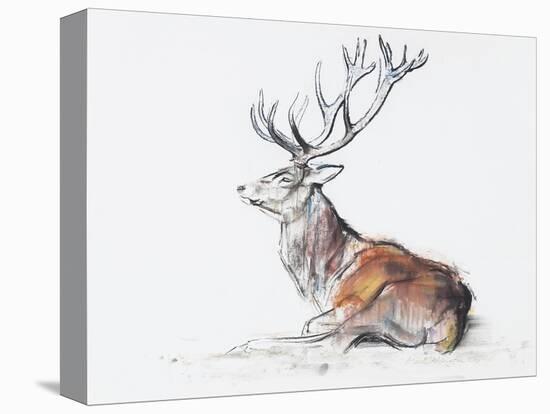 Seated Stag, 2006-Mark Adlington-Stretched Canvas