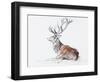 Seated Stag, 2006-Mark Adlington-Framed Giclee Print