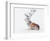 Seated Stag, 2006-Mark Adlington-Framed Giclee Print